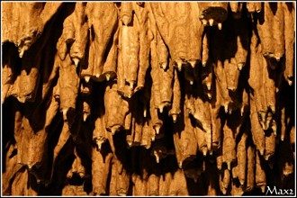 Biggest Stalactite Hole in Czech