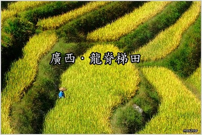 A Famous Geographic Site