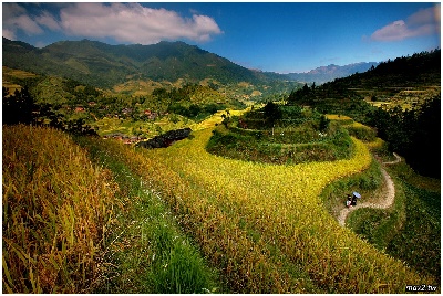 LongJi Terrace